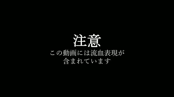 動画 2