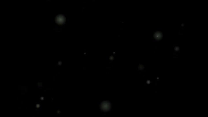動画 5
